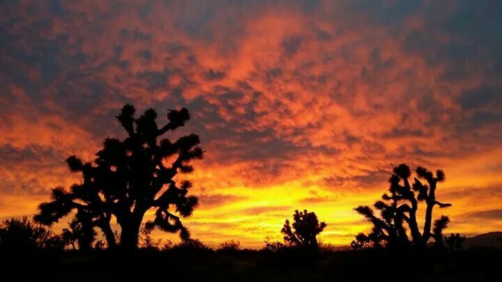 antelope valley california